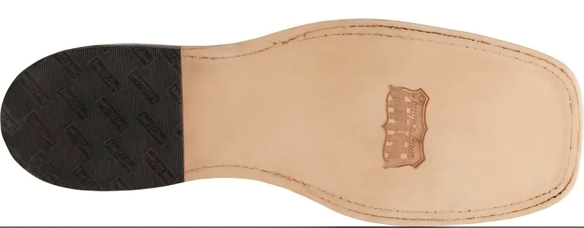 Justin avett brown American bison
