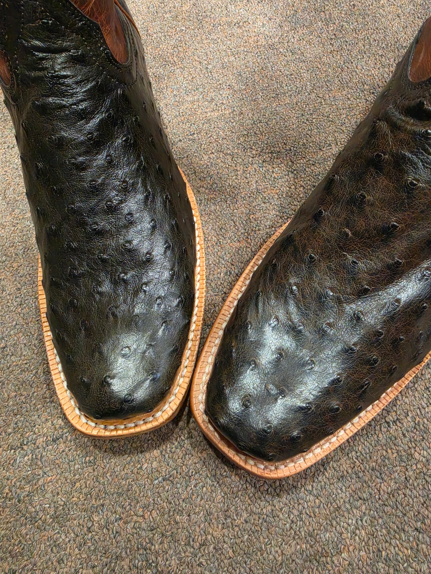R Watson men's nicotine/black ostrich (no original box)